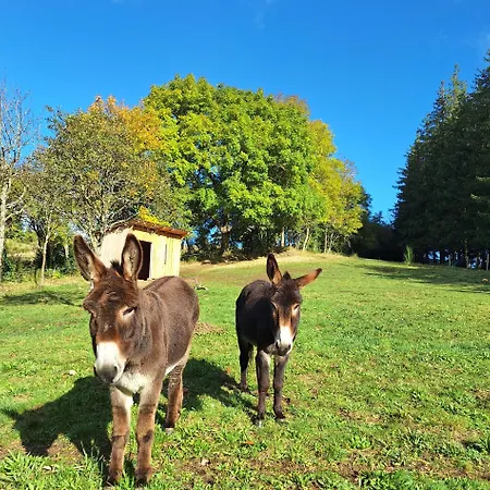 La Des Sources ゲストハウス